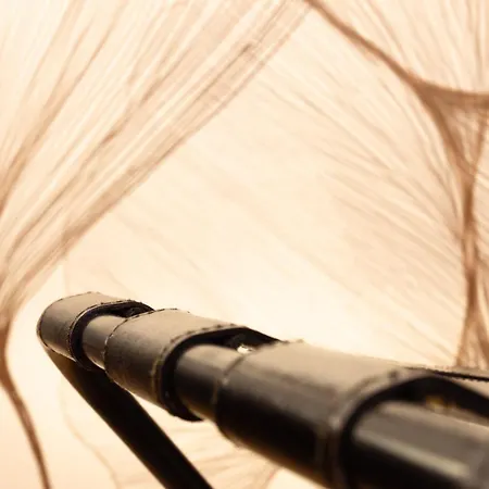 Vatican Design روما